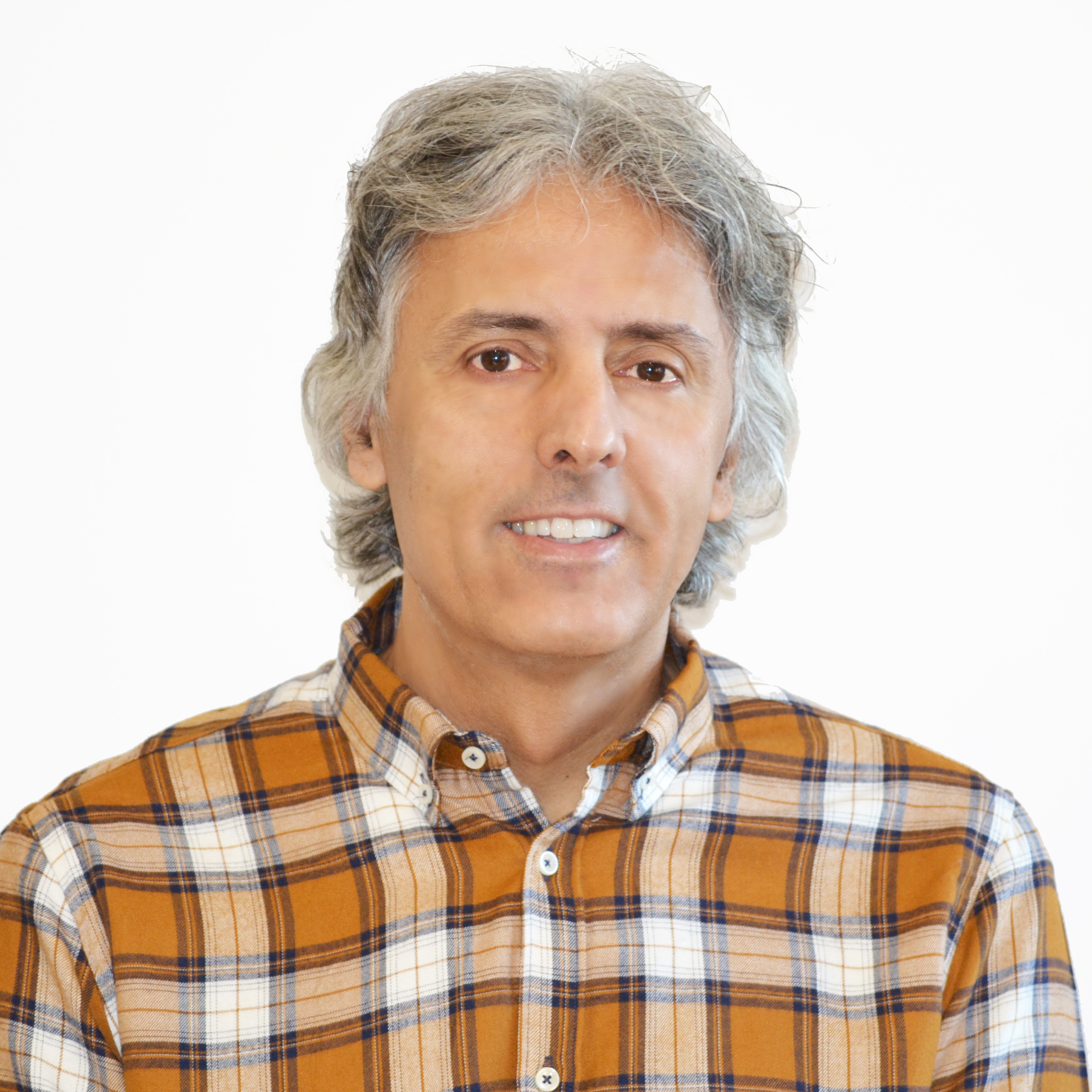José Luis Ferreira-García : Associate Professor. Master's Director of Industrial Economics and Markets