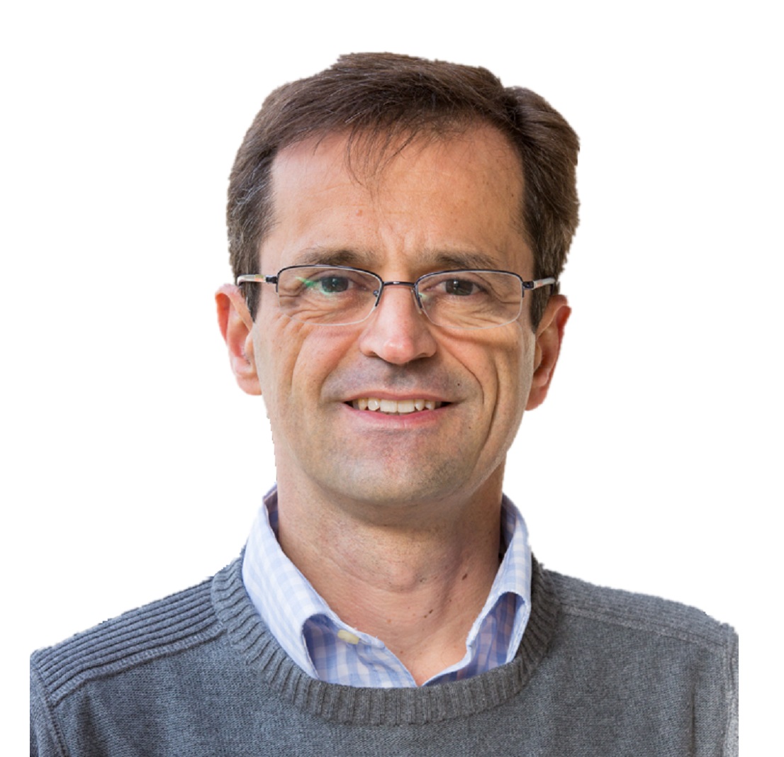 Antonio Cabrales : Full Professor (Research Chair in Economics)